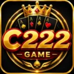 C222 game