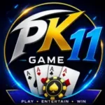 PK11 Game